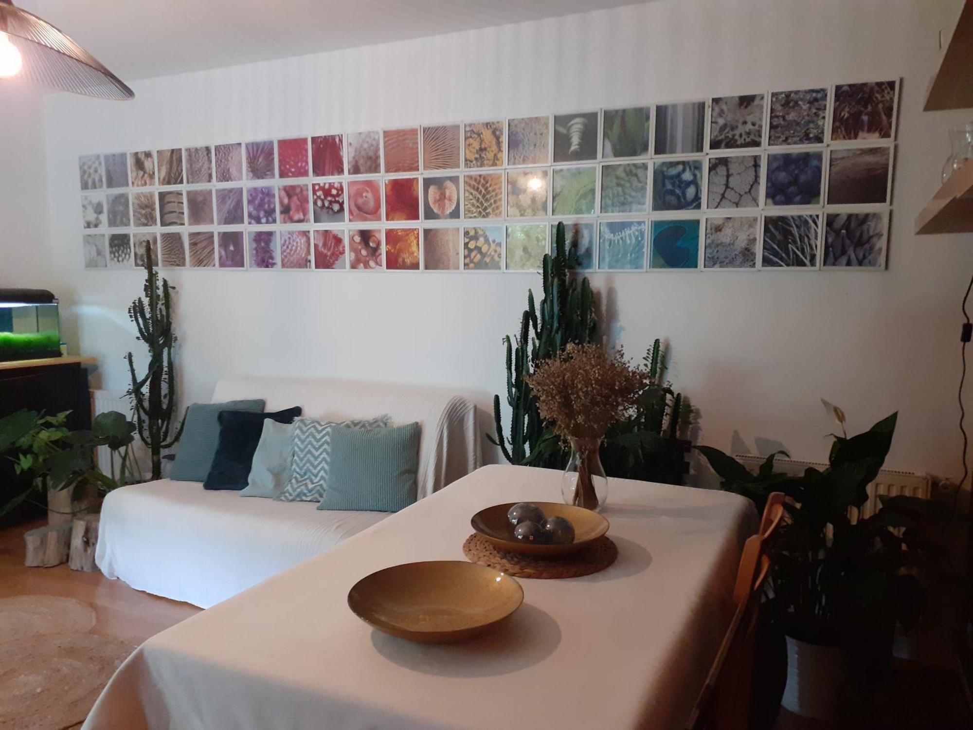 Au Bosquet, Chambre Et Salle De Bains Avec Petit Dejeuner A 600 M Du Centre Dans Un Cadre Calme Et Verdoyant Salies-de-Béarn 외부 사진